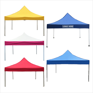 10'X10' Custom Tent W/ Logo