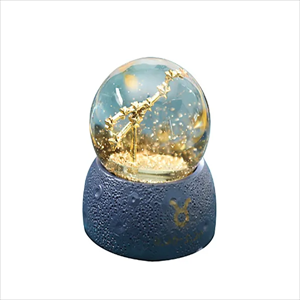 Zodiac Snowglobe